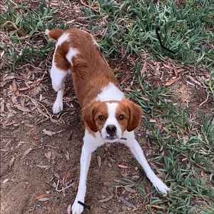 Meet your Posher, Luke